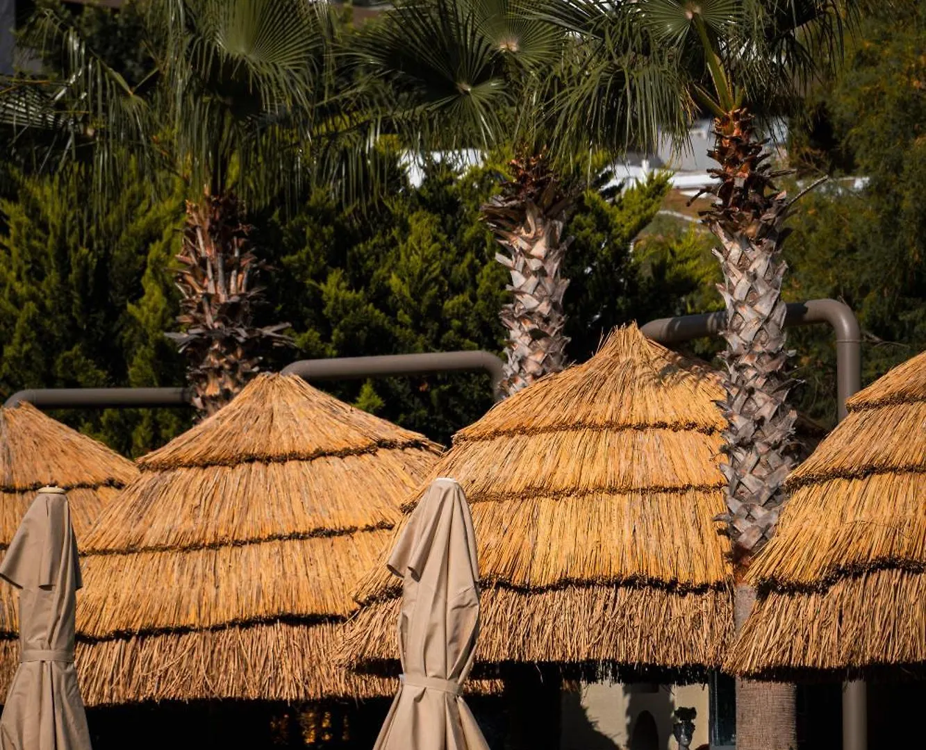 Arts Hotel Bodrum Яликовак 5*,